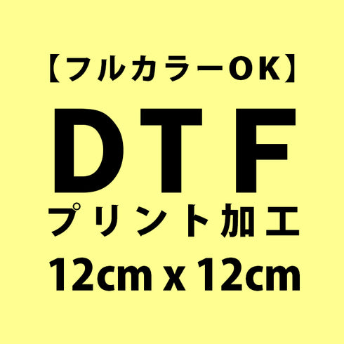 DTFプリント 【ワンポイント】12cm x 12cm 以内 (バック)